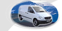 Profesional Service